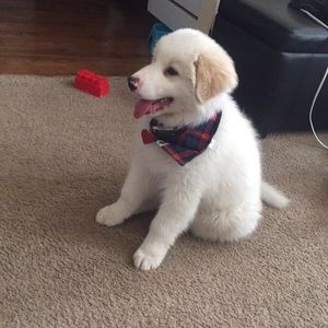 Meet your Posher, Celia